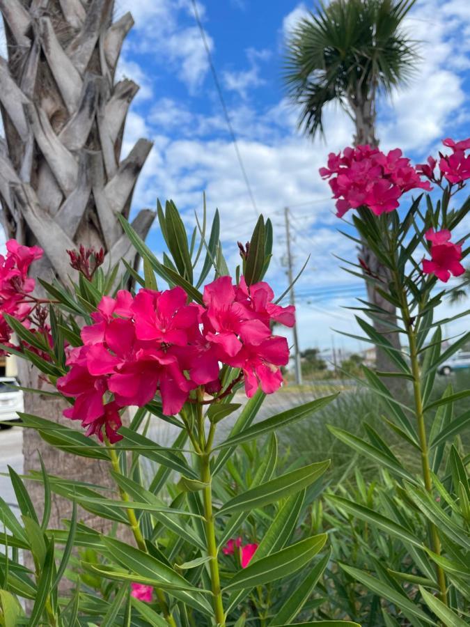 House 3 Blocks To The Beach Panama City Beach Exteriör bild